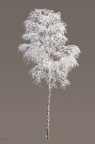 Winter Trees Ice and Snow Trees Frozen Trees Ice and Snow Scenes Snow and Ice Cover Street Trees in Winter 3d model