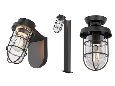 Industrial Outdoor Lights Black Metal Cage Design Wall Mounted Post Ceiling Fixtures Clear Glass 3d model