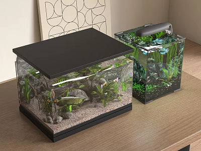 Two Clear Glass Fish Tanks With Aquatic Plants Stones And Interior Decor 3d model
