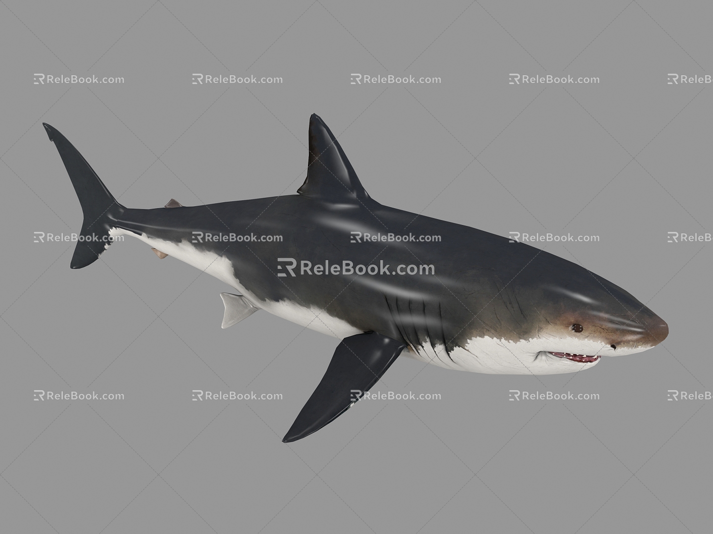 The Modern Shark 3d model