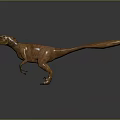 3D Velociraptor Character Model in Standing Pose with Brown Skin Long Tail and Dark Reflection