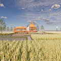 Rural Landscape with Golden Rice Fields Unique Dome Buildings and Blue Sky
