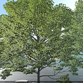 Modern School Campus Buildings With Sports Fields And Green Landscaped Areas