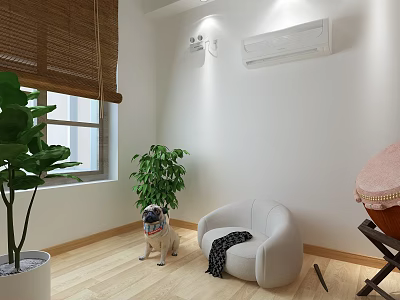 Cozy Indoor Space With Pug Dog White Round Armchair Green Plants Bamboo Blinds Wooden Flooring 3d model