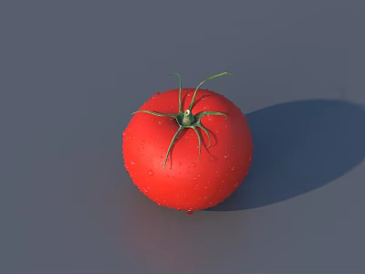 Fresh Red Tomato With Water Droplets And Green Stem On Gray Background 3d model
