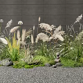 Gray Wall Garden With Various Herbs Tall Reed Like Grasses Green Moss And Stones
