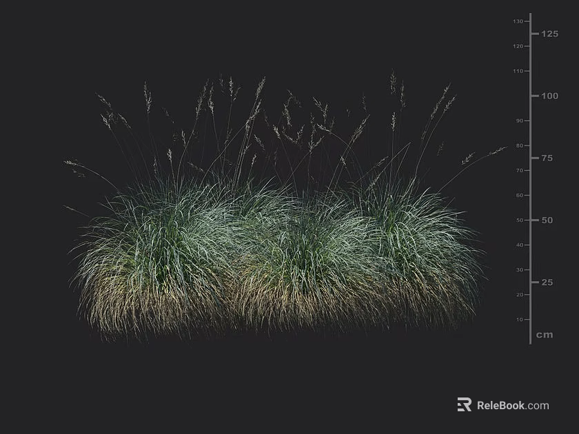 Green Grass Clumps With Yellowish Base Against Black Background Featuring Height Measurement Scale 3d model 