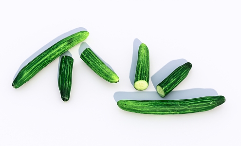 Modern Cucumber Vegetables 3d model