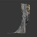 3D Organ Structure Model With Natural Hair Texture and Color Details