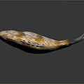 Orange and yellow spotted fish with grey fins tail and sharp teeth
