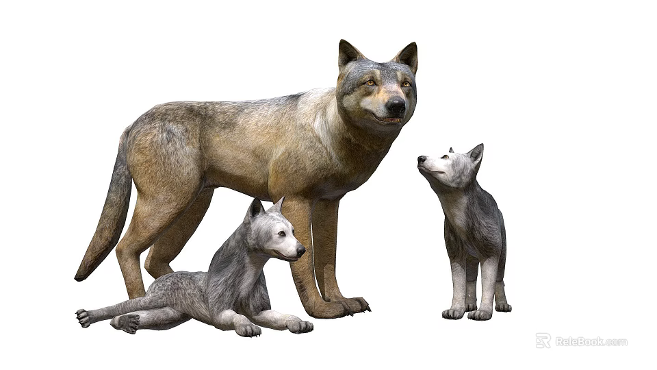 Game And Movie Wolf Characters With Adult And Baby Wolves In Family Group 3d model 