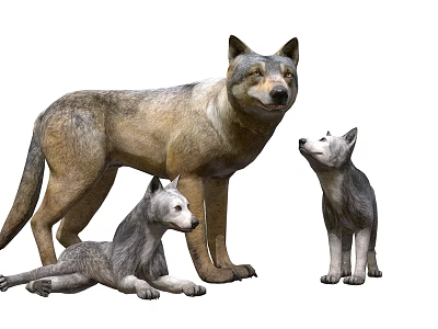 Game And Movie Wolf Characters With Adult And Baby Wolves In Family Group 3d model