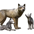 Game And Movie Wolf Characters With Adult And Baby Wolves In Family Group