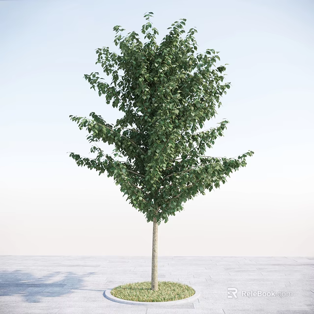Lush Green Arbor With Dense Foliage And Straight Trunk Against Clear Sky 3d model 