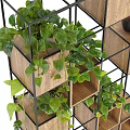 Elegant Bonsai Potted Plants Displayed On Multi Tiered Wooden Metal Shelves With Green Leaves