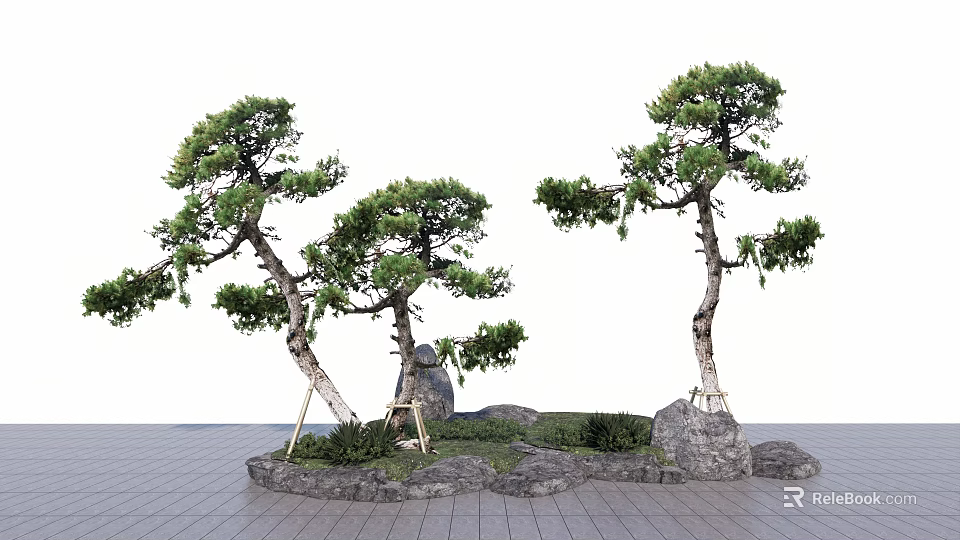 Two Pine Trees With Curved Trunks Stone Rocks And Green Grass In Garden 3d model 