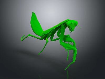 Detailed Green Mantis in Lifelike 3D Render With Dynamic Posture 3d model