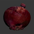 Modern Yellow Onion Purple Onion White Onion Red Onion 3d model