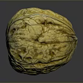 Whole Fresh Walnut With Yellowish Brown Wrinkled Surface On Gray Background