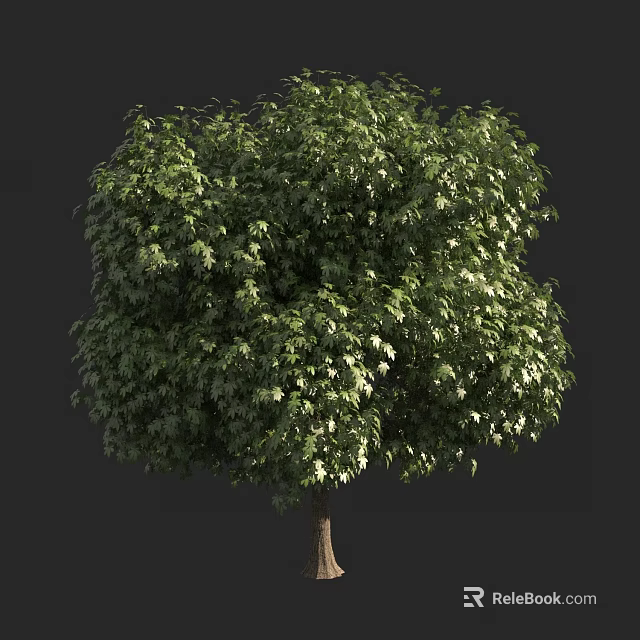 Lush Green Tree With Dense Vibrant Foliage And Strong Healthy Trunk 3d model 