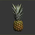 Fresh Ripe Pineapple With Green Leaves And Yellow Skin On Dark Background