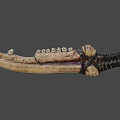 weapon bone knife 3d model