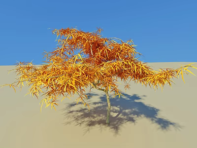 Tall Tree With Orange Yellow Leaves Standing On Sandy Ground Under Blue Sky 3d model