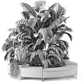 Modern Garden Decor With Tall Palm Plant Small Green Plants Curved Concrete Wooden Planter