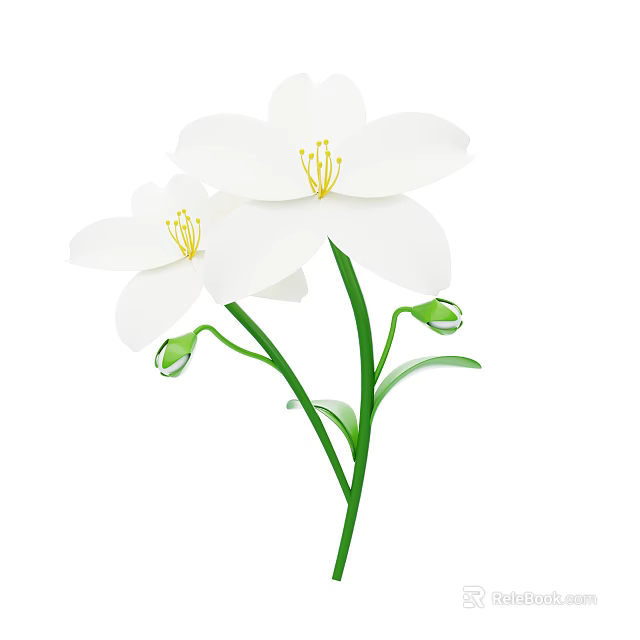 Beautiful White Flowers With Yellow Stamens Green Stems Leaves And Small Buds 3d model 