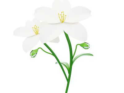Beautiful White Flowers With Yellow Stamens Green Stems Leaves And Small Buds 3d model