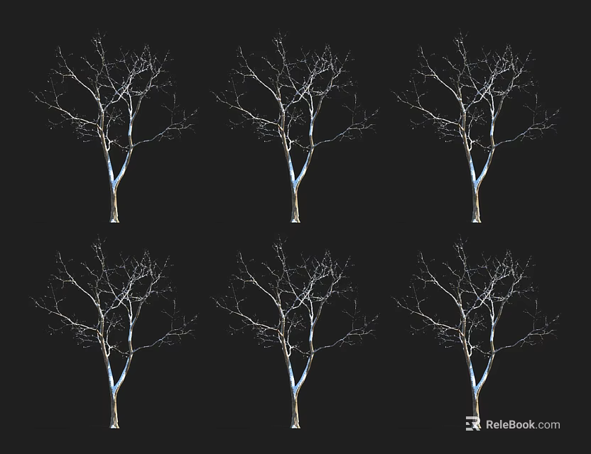 Six Leafless Trees With Bare Branches Standing On Black Background 3d model 