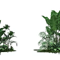 Natural Photo Spot With Lush Green Plants Large Leaves And Small Greenery In Grass Area
