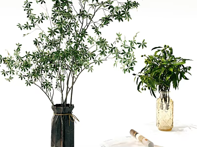 Stylish Decorative Ornament Combination With Green Plants In Vases And Natural Decor Details 3d model
