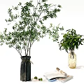 Stylish Decorative Ornament Combination With Green Plants In Vases And Natural Decor Details
