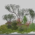 Colorful Shrubs In Natural Landscape With Various Foliage And Lush Greenery