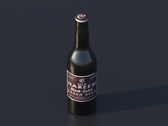 Modern beer glass bottle 3d model