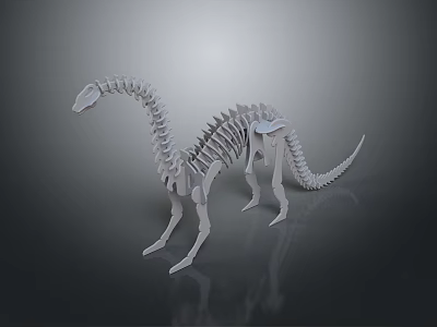 Detailed Dinosaur Skeleton Model With Long Neck On Gray Background 3d model