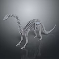 Detailed Dinosaur Skeleton Model With Long Neck On Gray Background