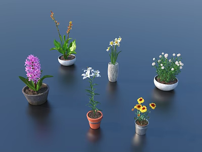 Various Bonsai Potted Plants With Different Colored Flowers And Material Pots On Dark Background 3d model