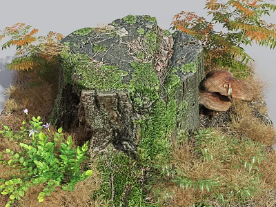 Lush Moss Covered Wooden Stump with Ferns and Mushrooms in Natural Setting 3d model