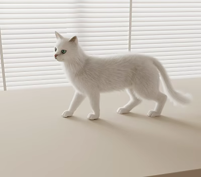 White Long Haired Cat Standing On Light Colored Surface With Window Blinds In Background 3d model