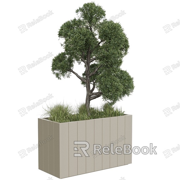 tree landscape tree shrub plant potted model