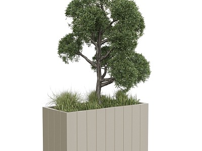 tree landscape tree shrub plant potted model