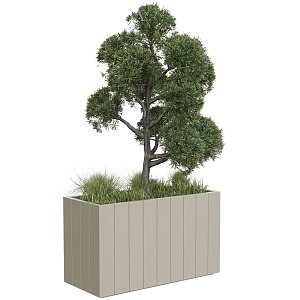 tree landscape tree shrub plant potted 3d model