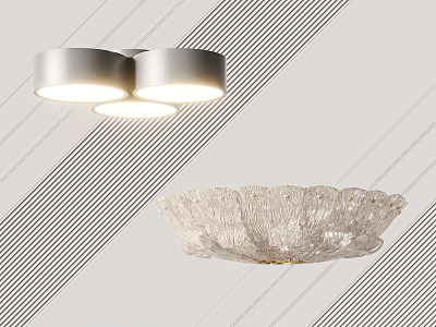 Modern Silver Round Ceiling Lights With Crystal Glass Shade And Elegant Design 3d model