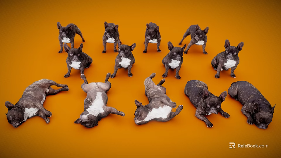 Group of Black and White Reptiles on Orange Background in Various Poses Standing and Lying 3d model 