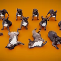 Group of Black and White Reptiles on Orange Background in Various Poses Standing and Lying