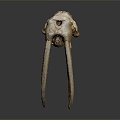 Modern Skull Animal Skull Elephant Skull Fossils 3d model