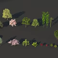 Diverse Collection of Trees with Green Pink Yellow Foliage and Various Shapes
