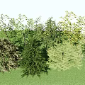 Modern Tree Landscape Tree 3d model